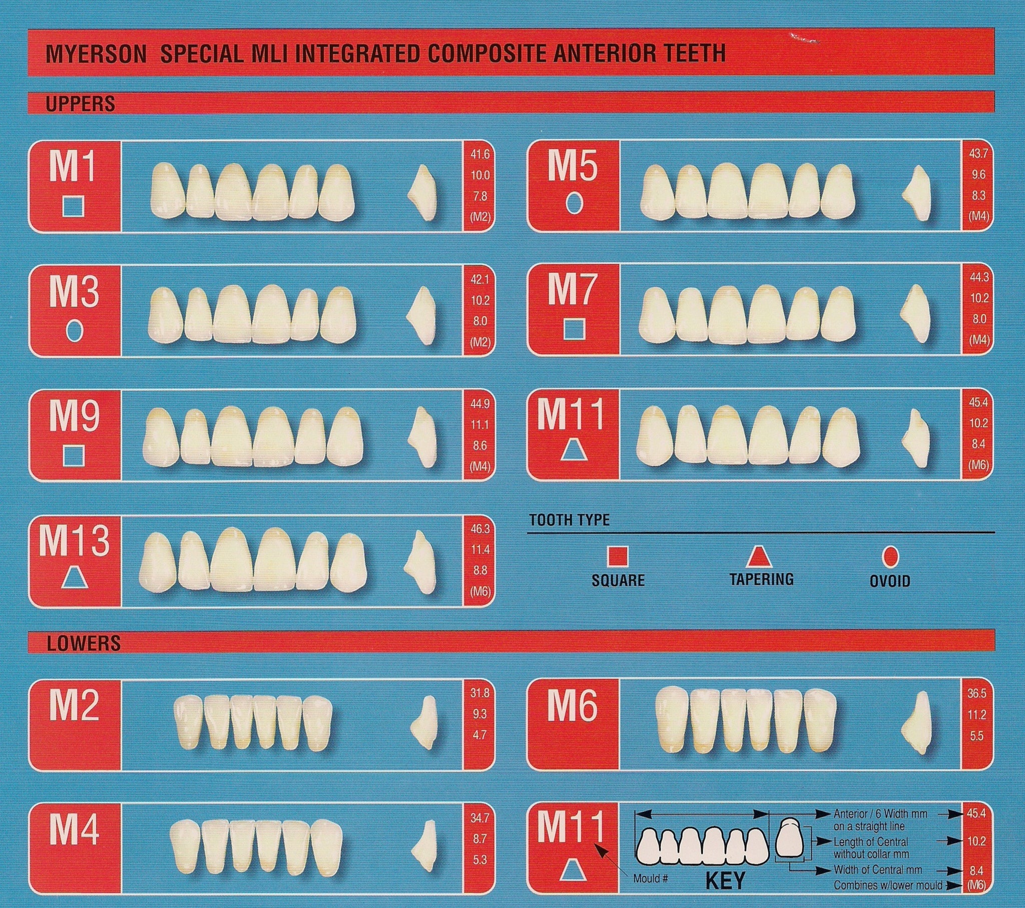 Myerson Special MLI Integrated Composite Anterior Teeth A2