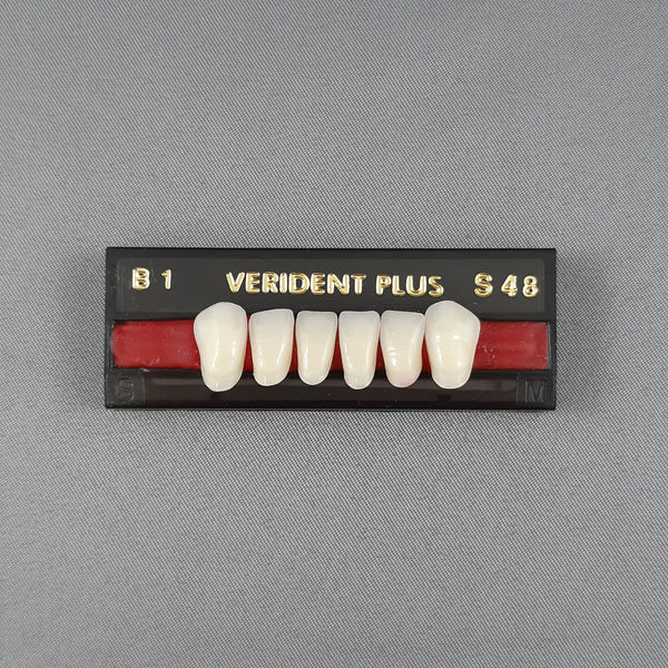 Verident Plus Acrylic L48 / M48 / S48 - W2 : 36.0